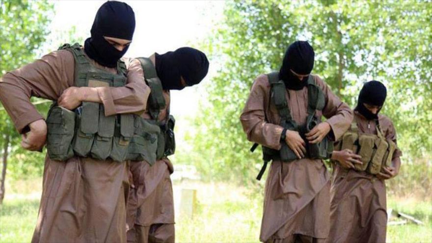 Cuatro terroristas de Daesh se preparan para llevar a cabo ataques.