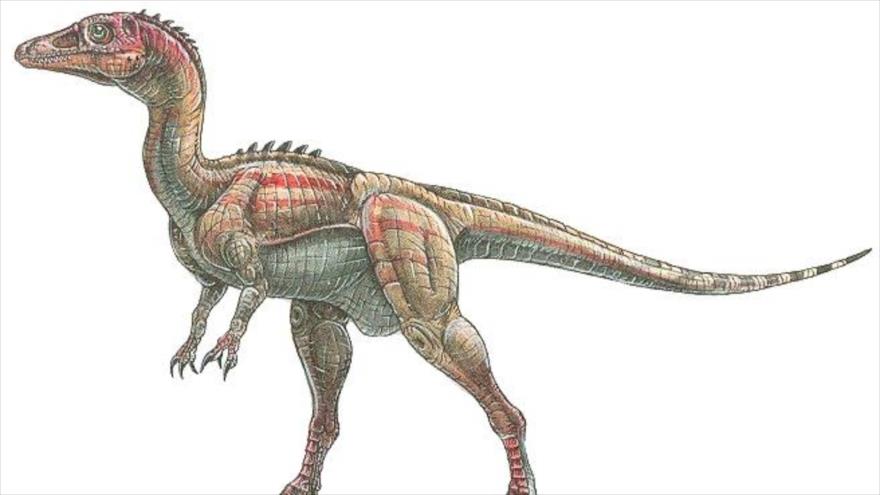 En Irán, paleontólogos descubren fósil de un dinosaurio bípedo | HISPANTV