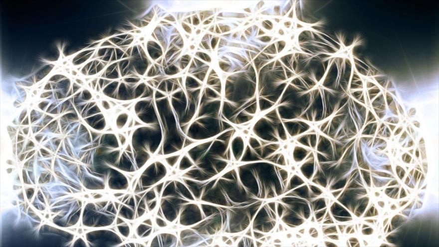 Investigadores sostienen que se activan las mismas partes del cerebro ante una metáfora escrita que ante una visual como las que ofrece la publicidad. 