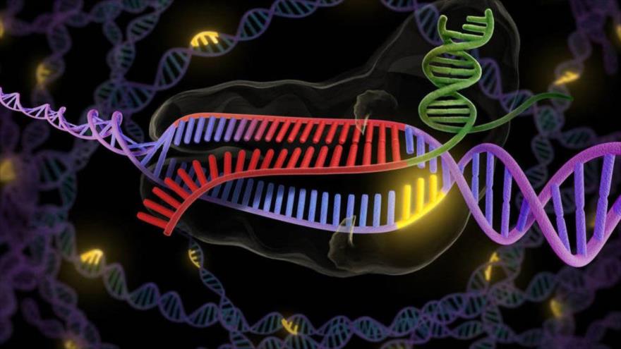 El cuerpo detecta los primeros signos del cáncer a través el daño que recibe el material genético de la célula.