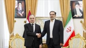 Irán deplora genocidio de civiles por Coalición anti-EIIL de EEUU