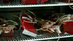 Banco de Sangre de Yemen podría cerrar por falta de fondos