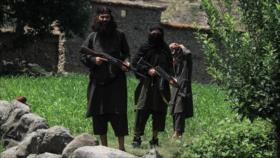Abaten al líder de los terroristas de EIIL en Afganistán