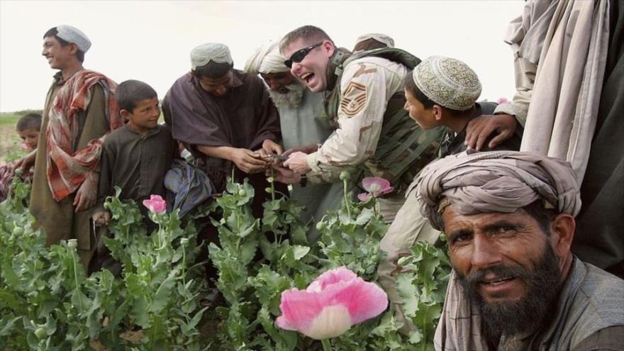 Un soldado estadounidense (centro) posa con un grupo de afganos en un campo de cultivo de opio.