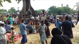 ONU urge a Birmania a no usar la fuerza contra Rohingya