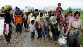 La minoría Rohingya sufre discriminación por ‘una ley no escrita’