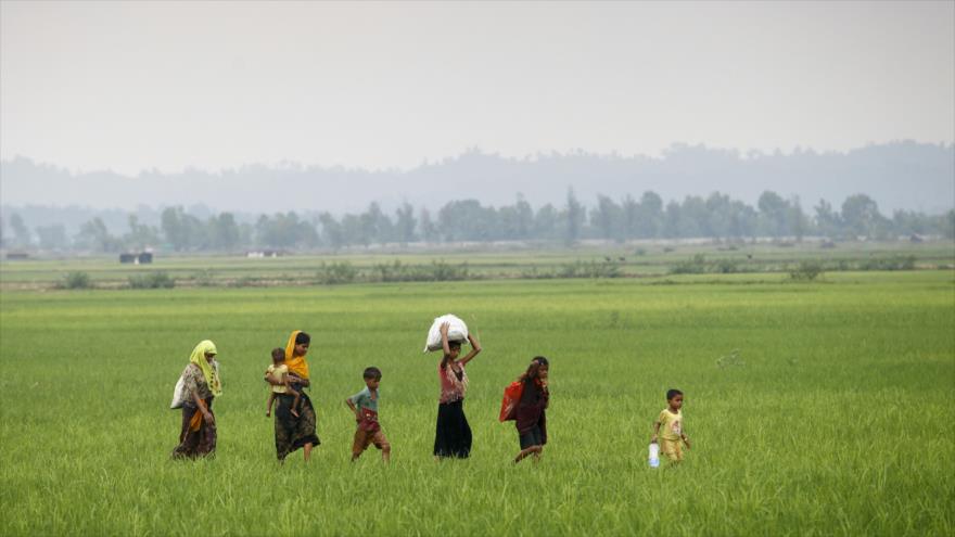 ONU: 146.000 rohingyas huyen a Bangladés por genocidio en Myanmar