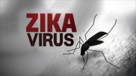 Nuevo estudio: ¡Virus del Zika podría tratar tumores cerebrales!