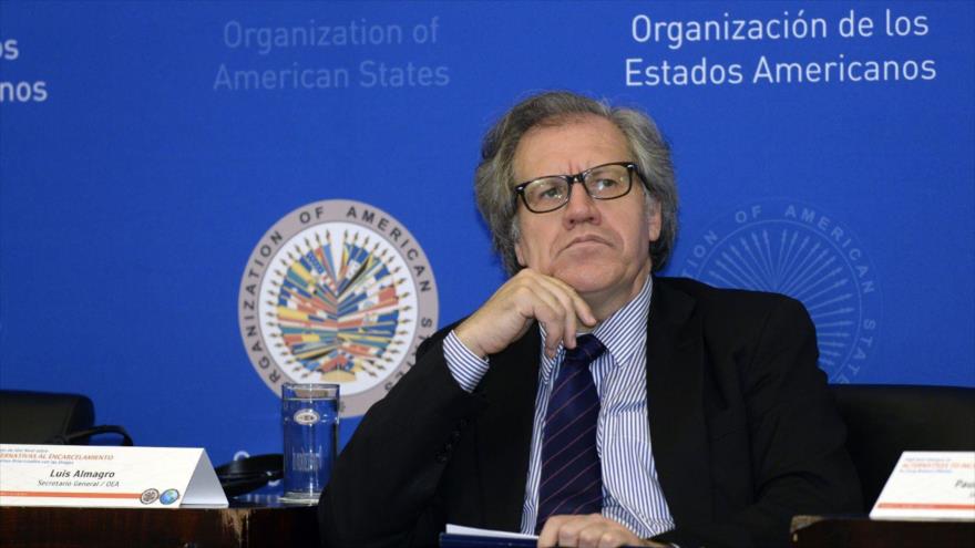 El secretario general de la OEA saluda triunfo electoral del MAS | HISPANTV