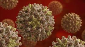 Hepatitis supera a sida, malaria y tuberculosis en cobrar vidas