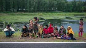 CSNU pide garantizar acceso humanitario para ayudar a rohingyas