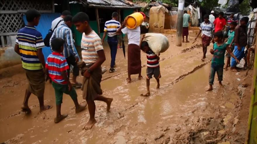 La FAO suena la alarma sobre la situación de rohingyas