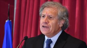 Bolivia denunciará ante la OEA la injerencia de Luis Almagro 