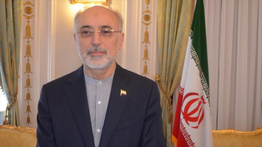 Ali Akbar Salehi, jefe de la Organización de Energía Atómica de Irán (OEAI), en Roma, 5 de octubre de 2017.