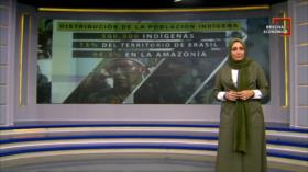 Brecha Económica -Tierras de Brasil: agricultores vs. Indígenas