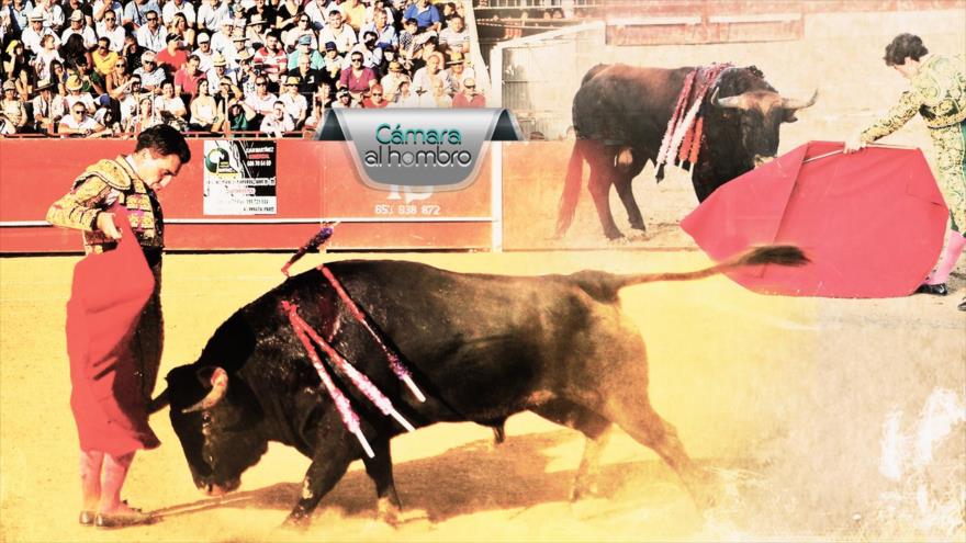 Cámara al Hombro - La tauromaquia en el punto de mira en España