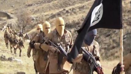 Informe: 5600 terroristas de Daesh han regresado a sus países 
