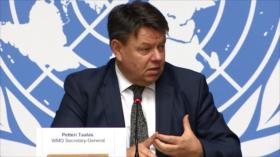 Acumulación de CO² a niveles nunca vistos desde hace 800 000 años