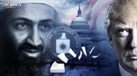 La verdadera relación entre Osama Bin Laden y la Casa Blanca