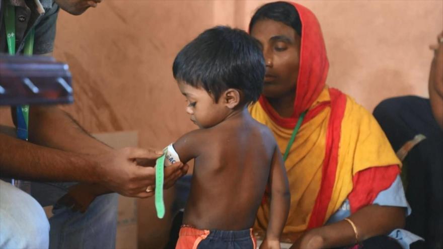PMA alerta por crisis de malnutrición de rohingyas en Bangladés