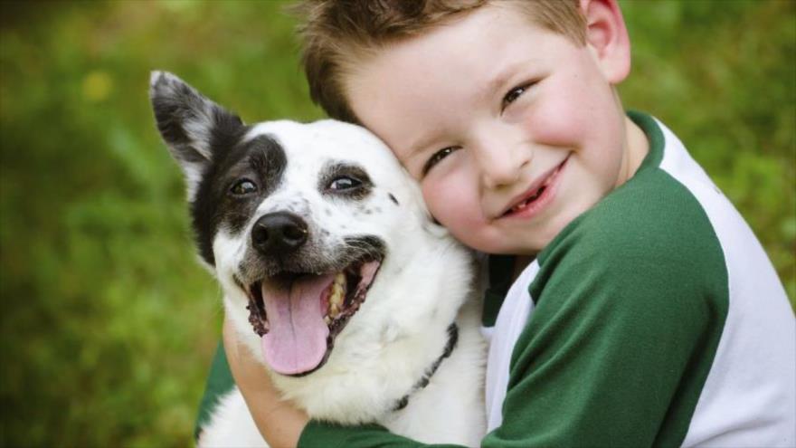 Quiere vivir más: tenga un perro | HISPANTV