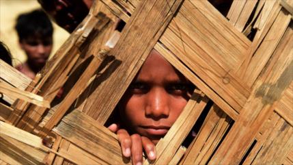 AI: Apartheid y limpieza étnica contra los rohingyas en Myanmar ‎
