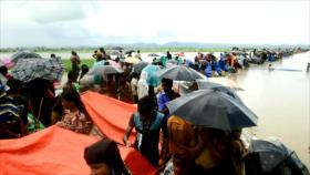 Grupos pro-DDHH cuestionan el pacto sobre retorno de rohingyas