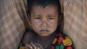 ONU alerta de ‘elementos de genocidio’ contra los rohingyas ‎