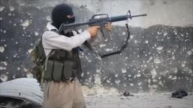 Irán Hoy - La Semana de la Unidad