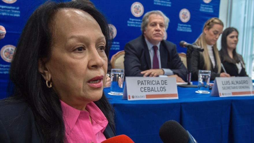 La representante venezolana ante la OEA, Carmen Luisa Velásquez, responde a periodistas, Washington, EE.UU., 20 de marzo de 2017.