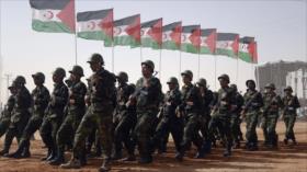 Ejército saharaui, ‘listo’ para luchar por su independencia