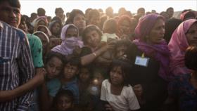 MSF alerta: Brote de difteria amenaza la vida de los rohingyas 