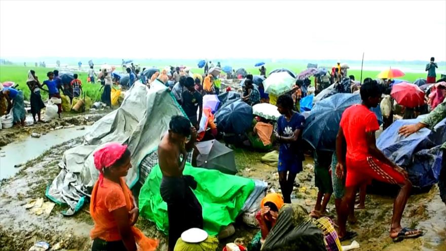 Represión de los rohingyas, la peor tragedia humana del mundo 