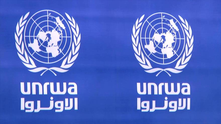 21 ONG piden a EEUU reconsiderar recorte de fondos para la UNRWA