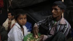 AI advierte de que sigue en marcha limpieza étnica de rohingyas