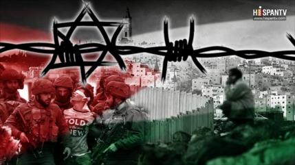 Sobre Sionismo, Perros, Colonos y un Hipotético Estado Palestino