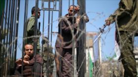 Informe: Israel da comida podrida y vencida a presos palestinos 