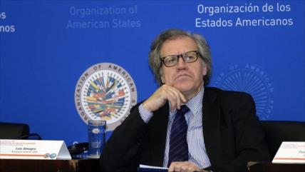 ‘Almagro y la OEA jamás serán bienvenidos en la Cuba de Fidel’