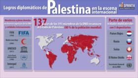 Infografía: Palestina está logrando su puesto merecido en el mundo