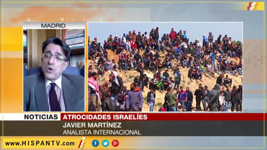 ‘Apoyo incondicional de EEUU a Israel causa masacre de palestinos’