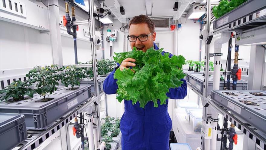 Uno de los científicos en la base alemana Neumayer III posa con los vegetales cultivados.