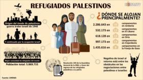 Mayor comunidad de refugiados del mundo: Palestinos