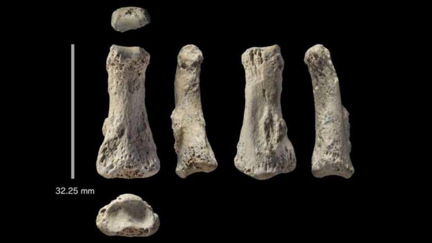 Un dedo de 85.000 años cuestiona teorías sobre historia humana | HISPANTV