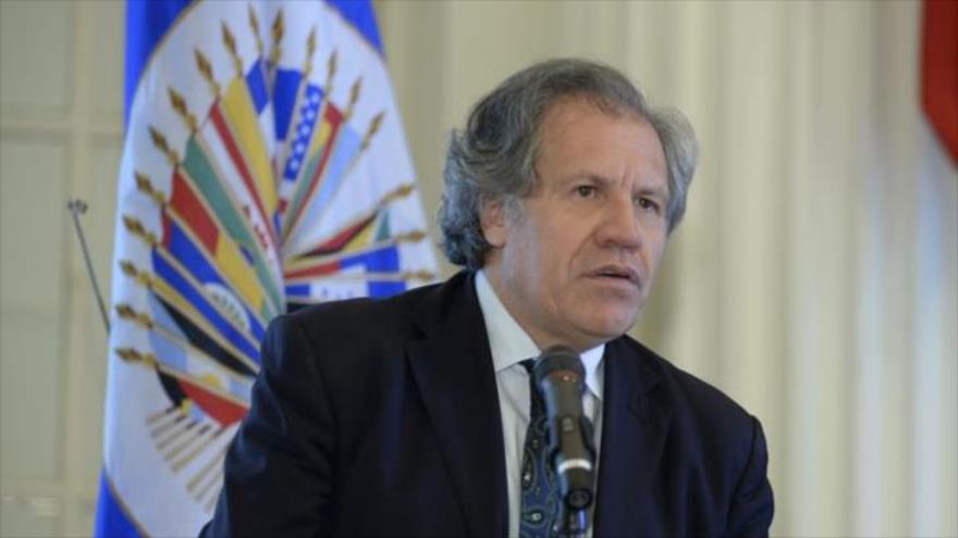 El secretario general de la Organización de Estados Americanos (OEA), Luis Almagro.