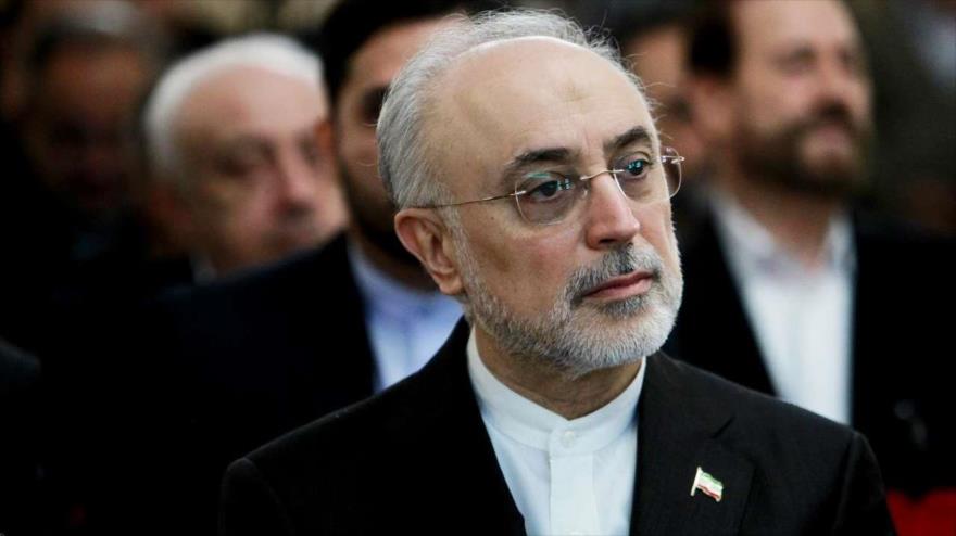 El jefe de la Organización de Energía Atómica de Irán (OEAI), Ali Akbar Salehi, 16 de abril de 2018.