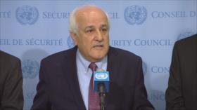 Palestina pide a ONU una investigación independiente sobre Gaza