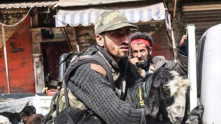 Integrantes del Ejército Libre de Siria (ELS) roban ovejas de los residentes de Afrin.