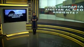 Brecha Económica: Grandes negocios, economías dañinas y la tierra