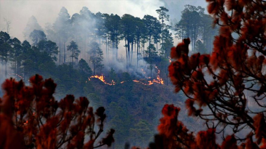 Mueren dos de los cinco bomberos hondureños quemados sofocando incendio forestal