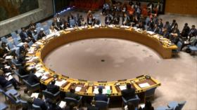 Consejo de Seguridad aborda crímenes de Israel contra palestinos